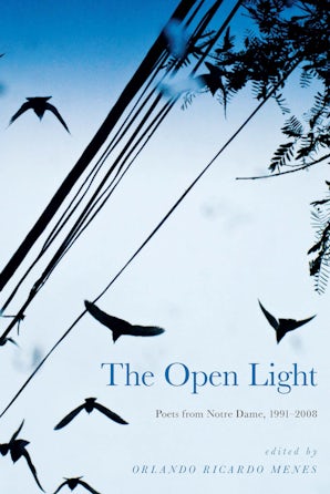 The Open Light book image