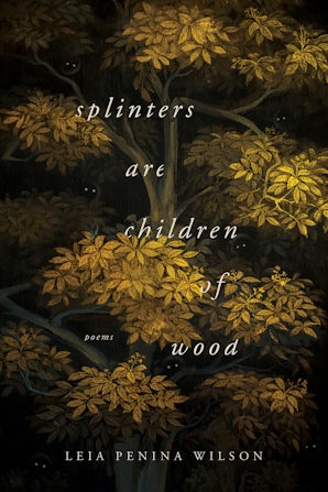 Splinters Are Children of Wood book image