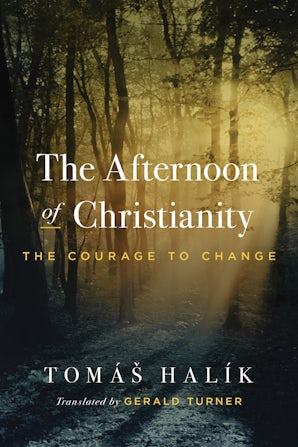 The Afternoon of Christianity book image